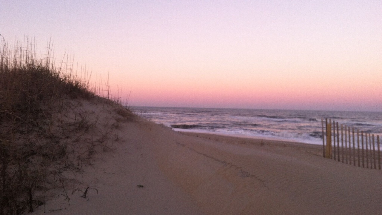 Photo of Others in Laughing Gull Cottages
