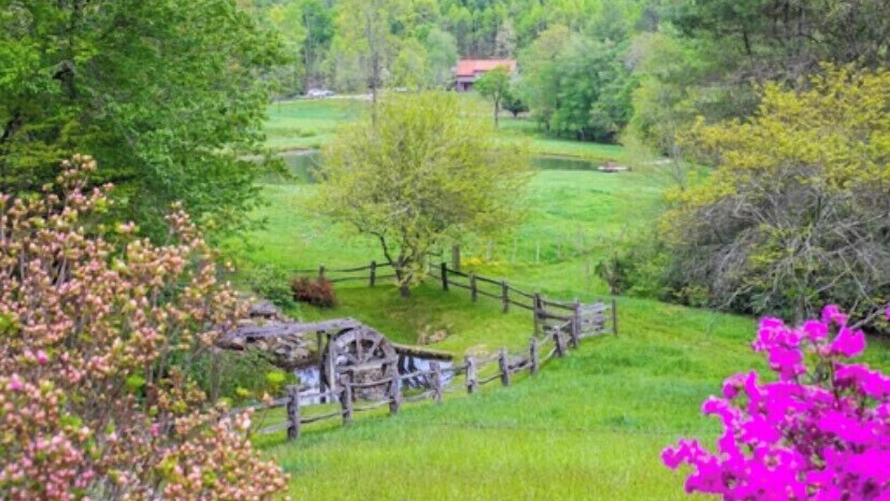 Photo of Outdoor in Pisgah Forest