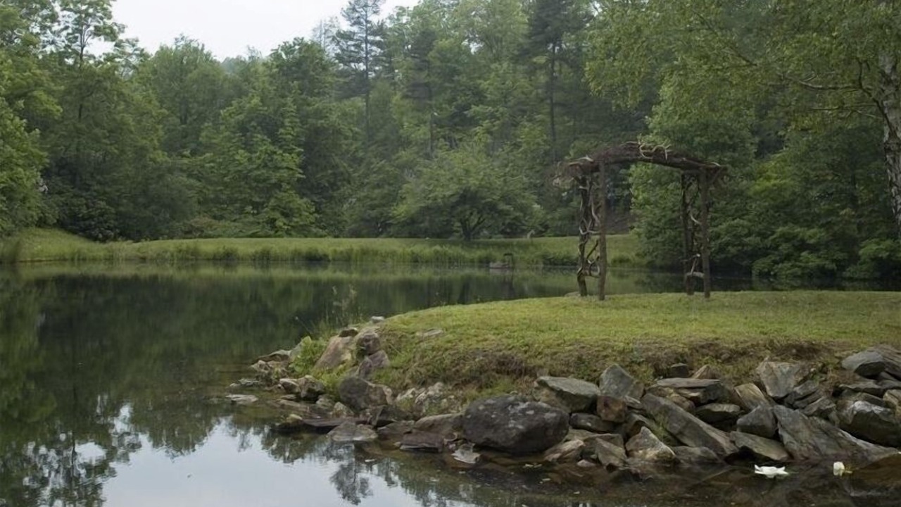 Photo of Others in Pisgah Forest