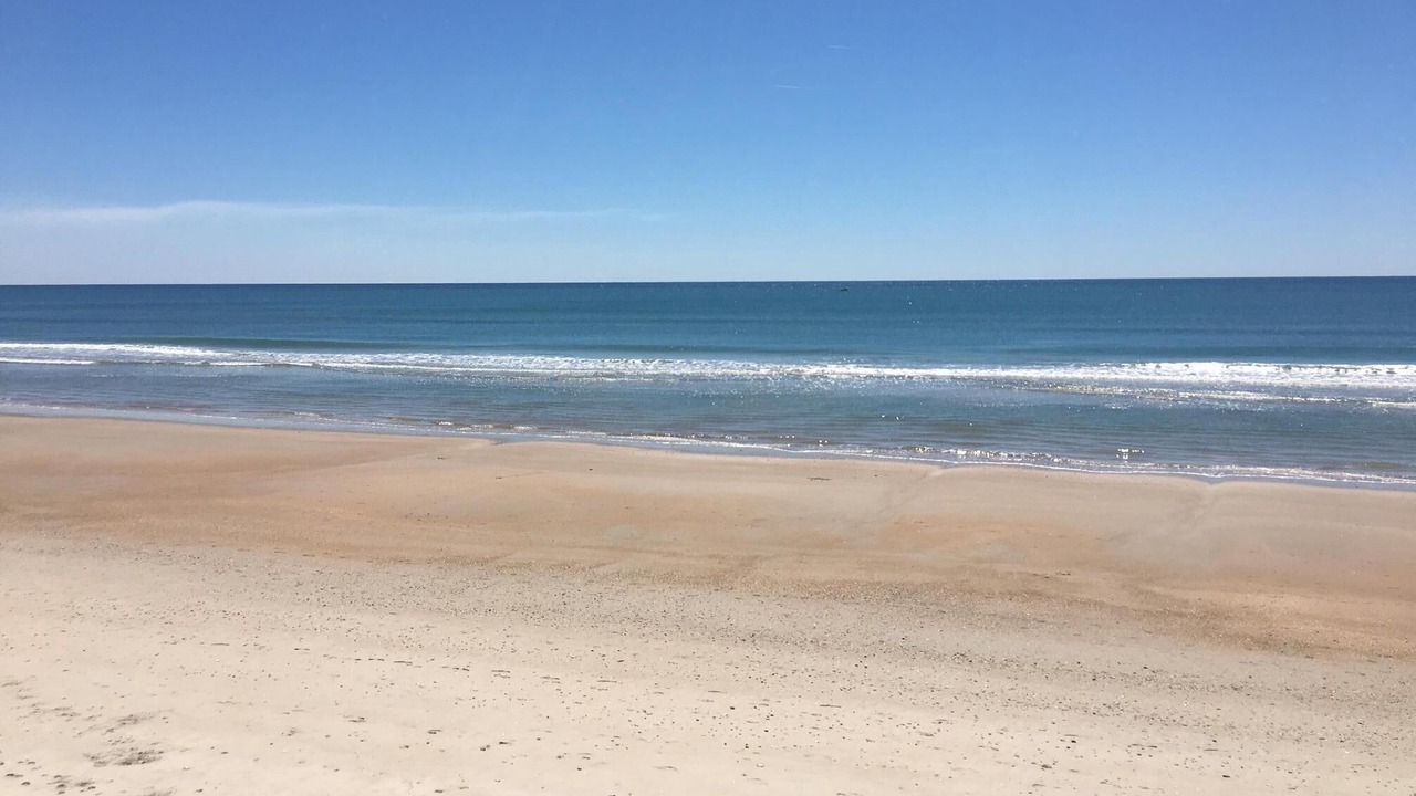 Photo of Others in Surf City