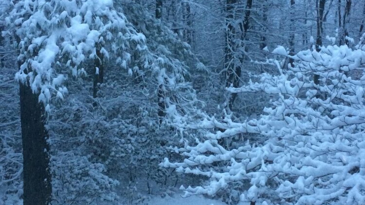 Photo of Others in Lake Toxaway