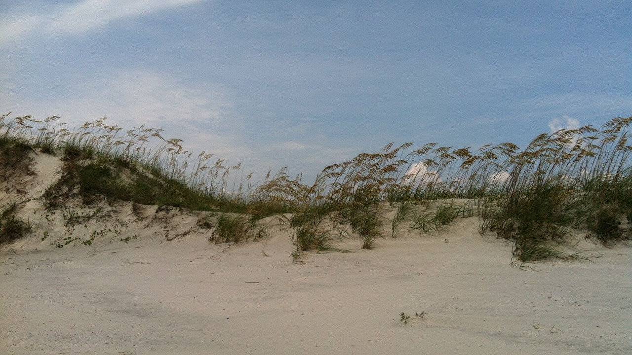 Photo of Others in Sea Trail