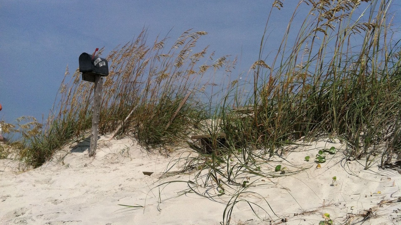 Photo of Others in Sea Trail