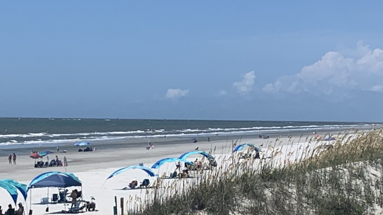Photo of Others in Sea Trail