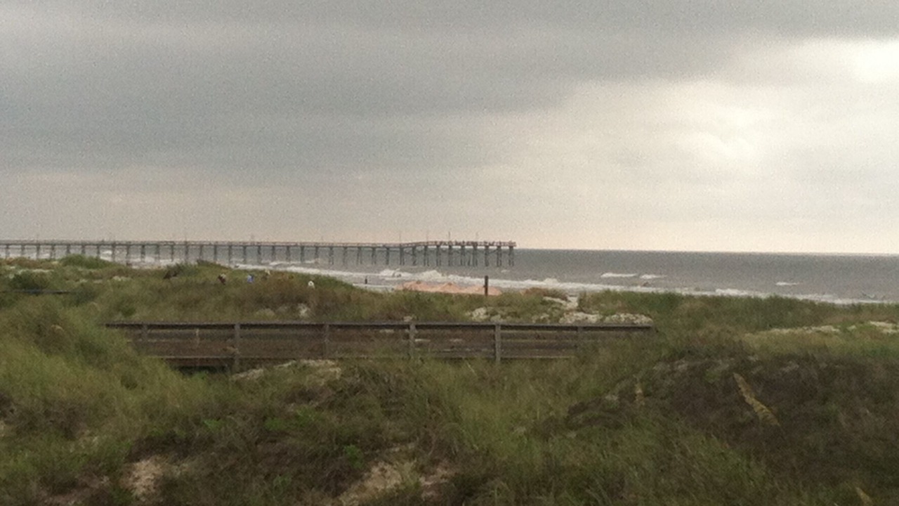 Photo of Others in Sea Trail