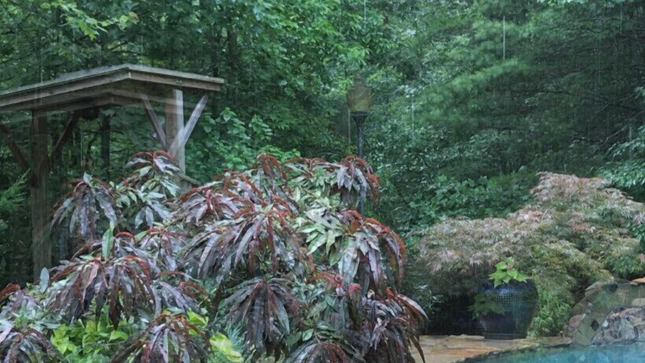 Photo of Outdoor in McMillan Hidden Valley