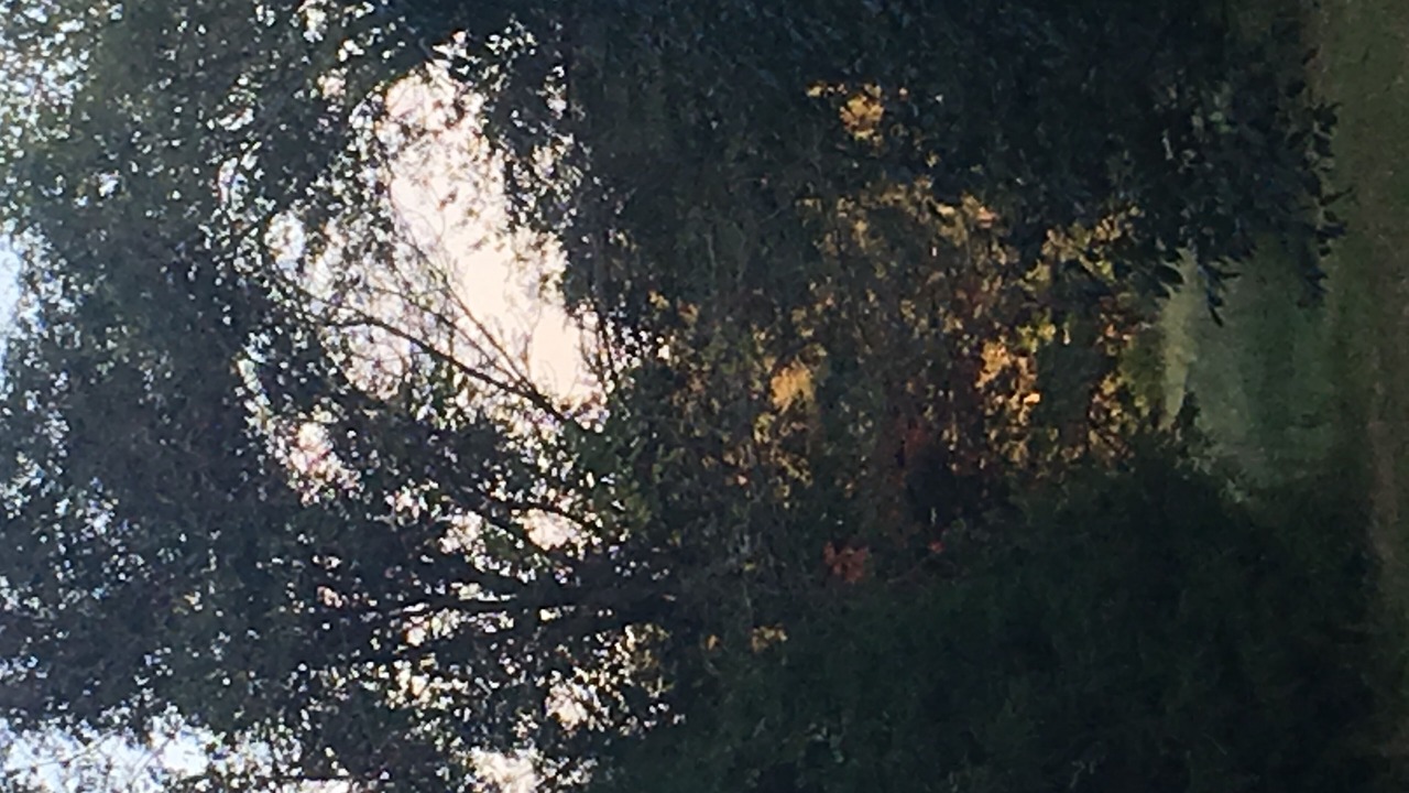 Photo of Outdoor in Salisbury