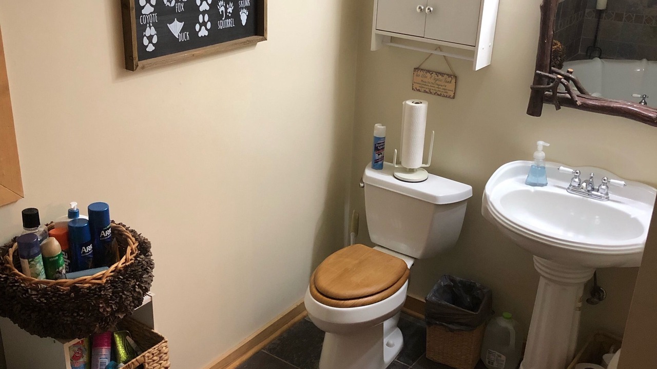 Photo of Bathroom in Purlear