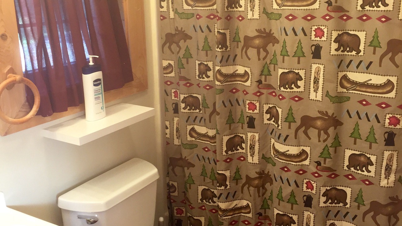 Photo of Bathroom in Purlear