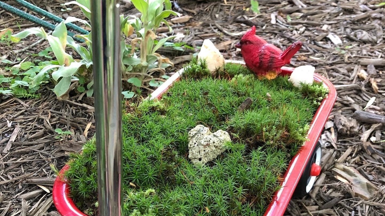 Photo of Outdoor in Southmont