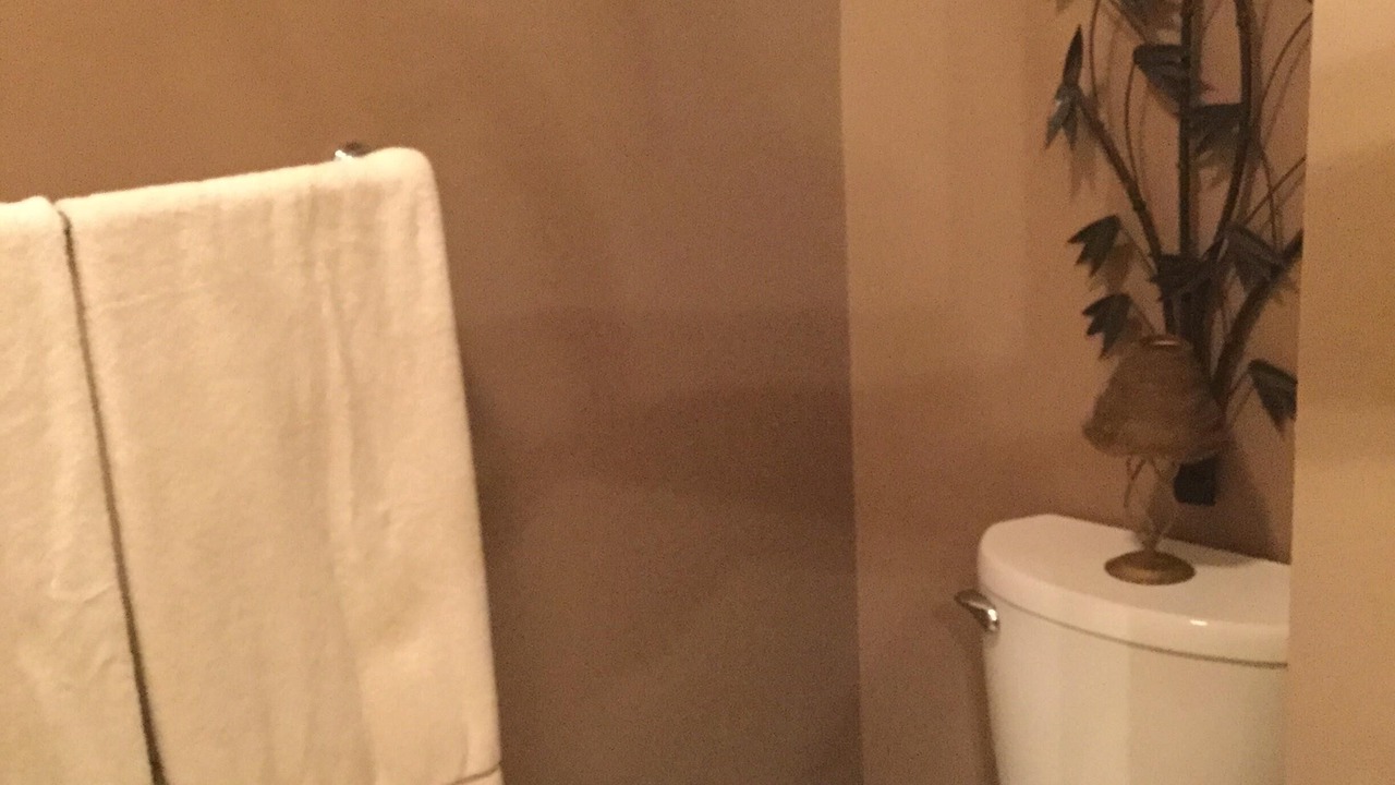 Photo of Bathroom in Elon