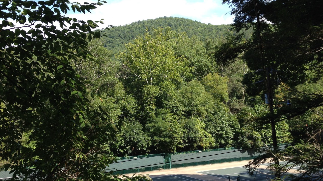 Photo of Others in Black Mountain