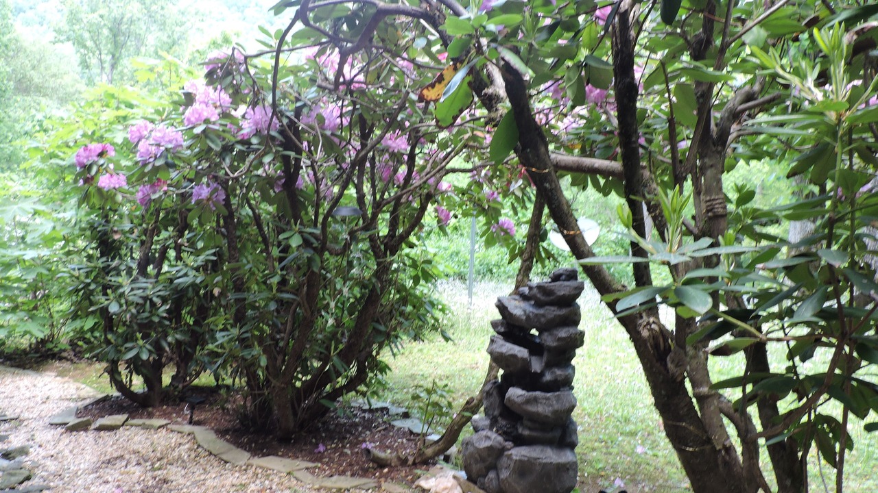 Photo of Outdoor in Robbinsville