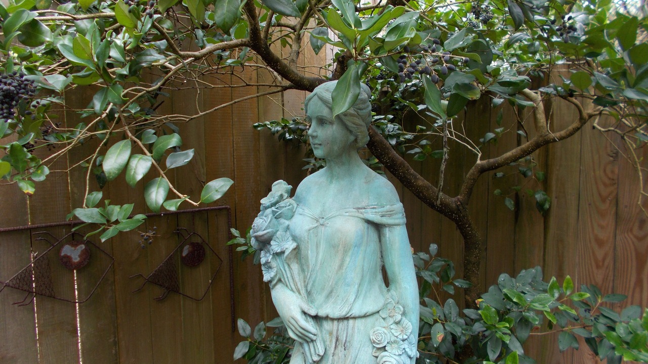 Photo of Outdoor in Ocracoke