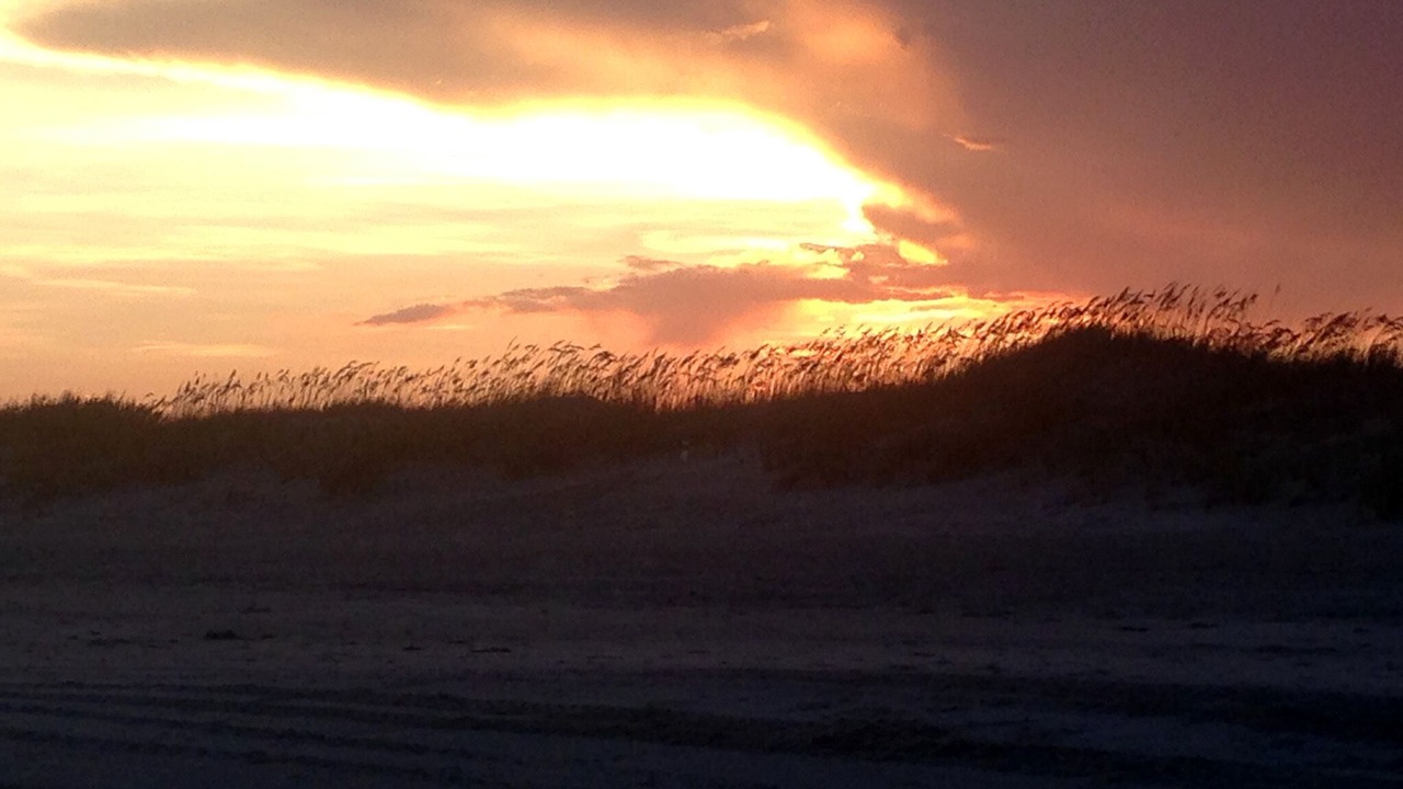 Photo of Others in Sunset Beach