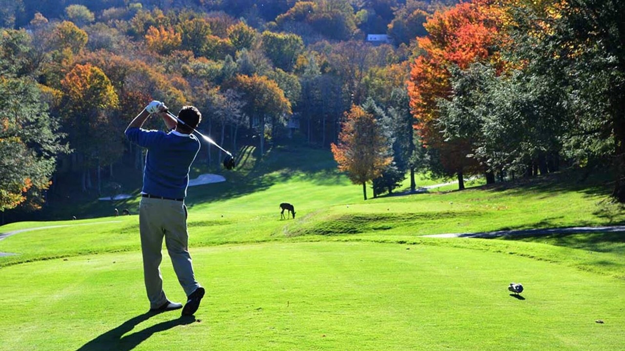 Photo of Others in Beech Mountain