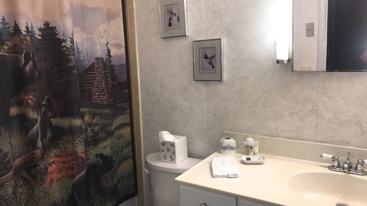 Photo of Bathroom in Beech Mountain