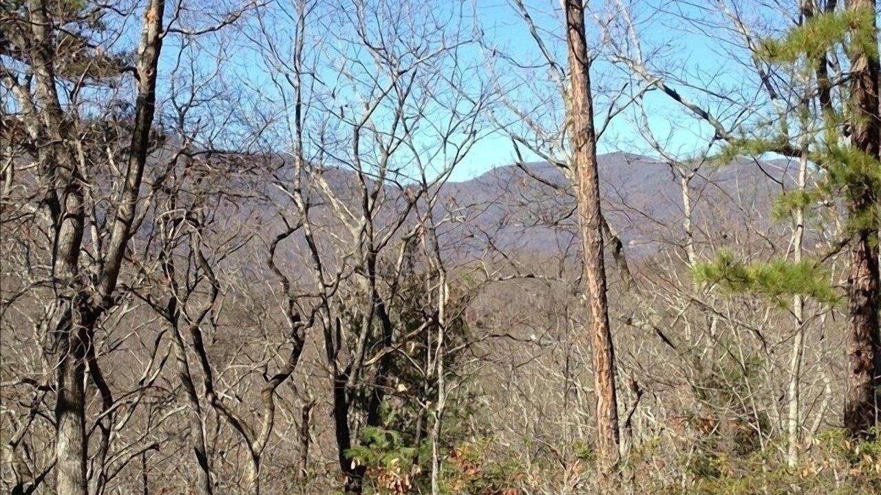 Photo of Others in Black Mountain