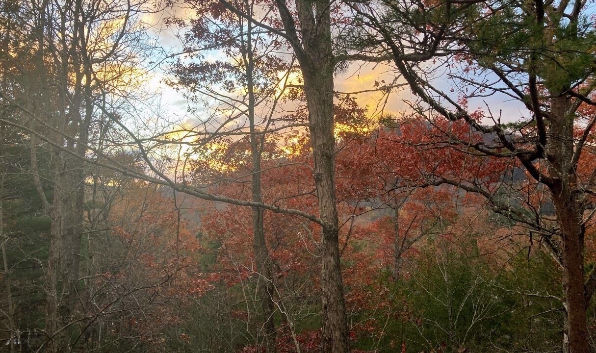 Photo of Others in Black Mountain