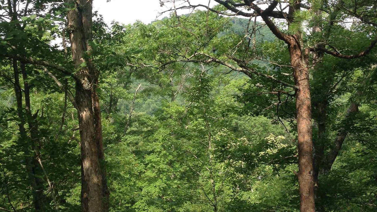 Photo of Others in Black Mountain