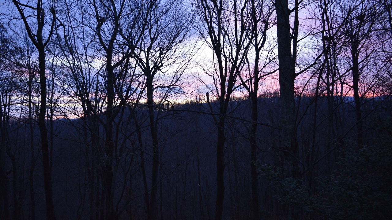 Photo of Others in Saluda