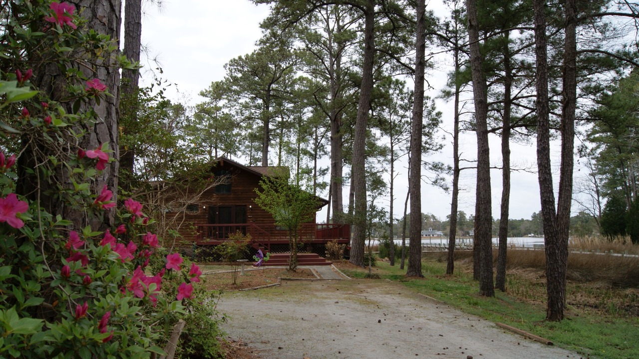 Photo of Outdoor in Oriental