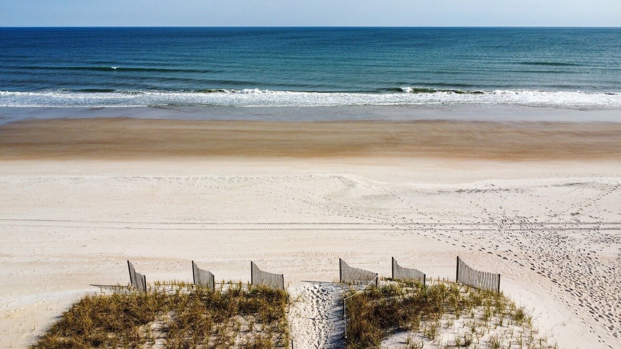Photo of Others in Surf City