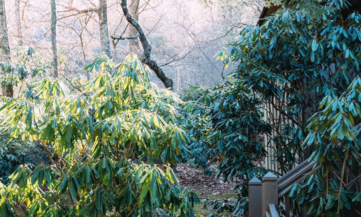 Photo of Outdoor in Highlands