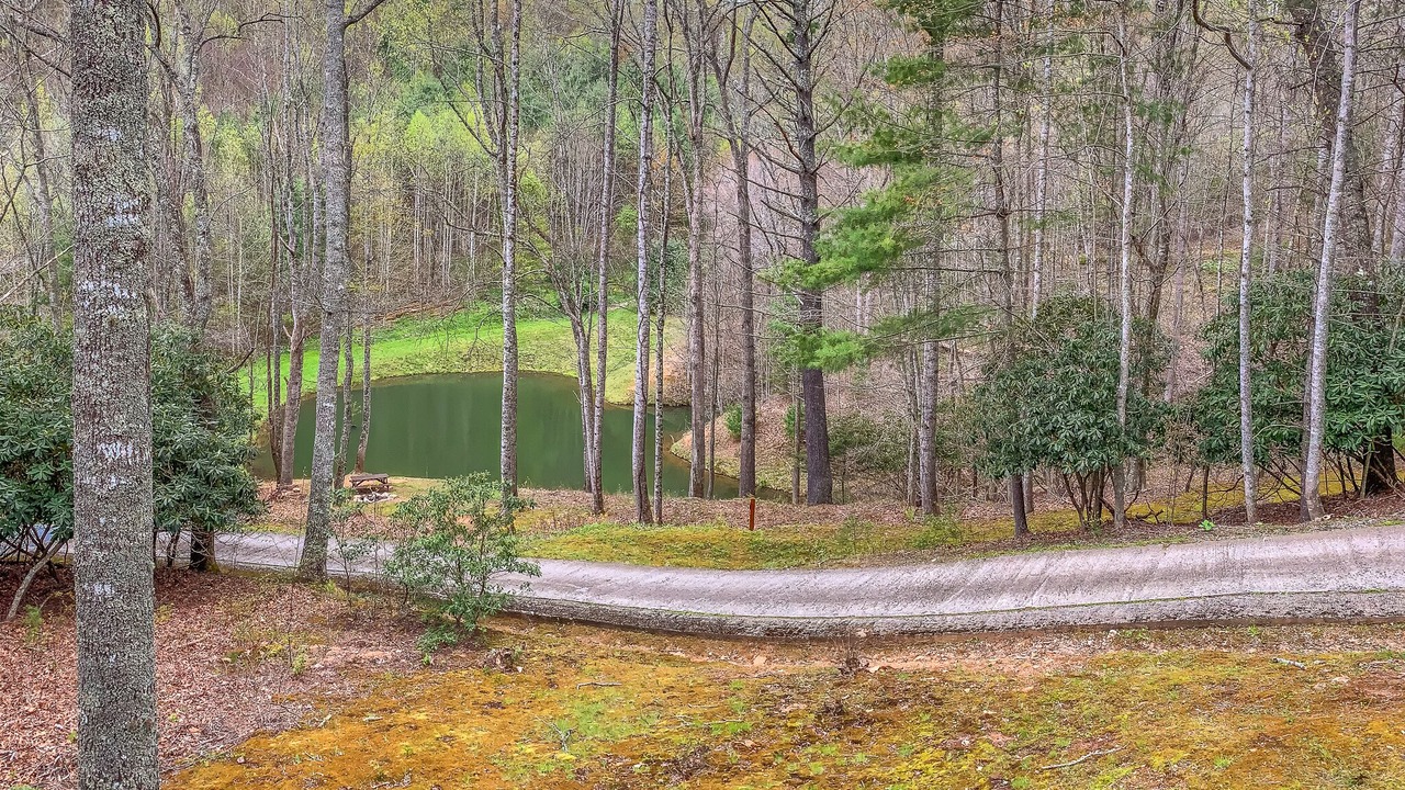 Photo of Outdoor in Grassy Creek