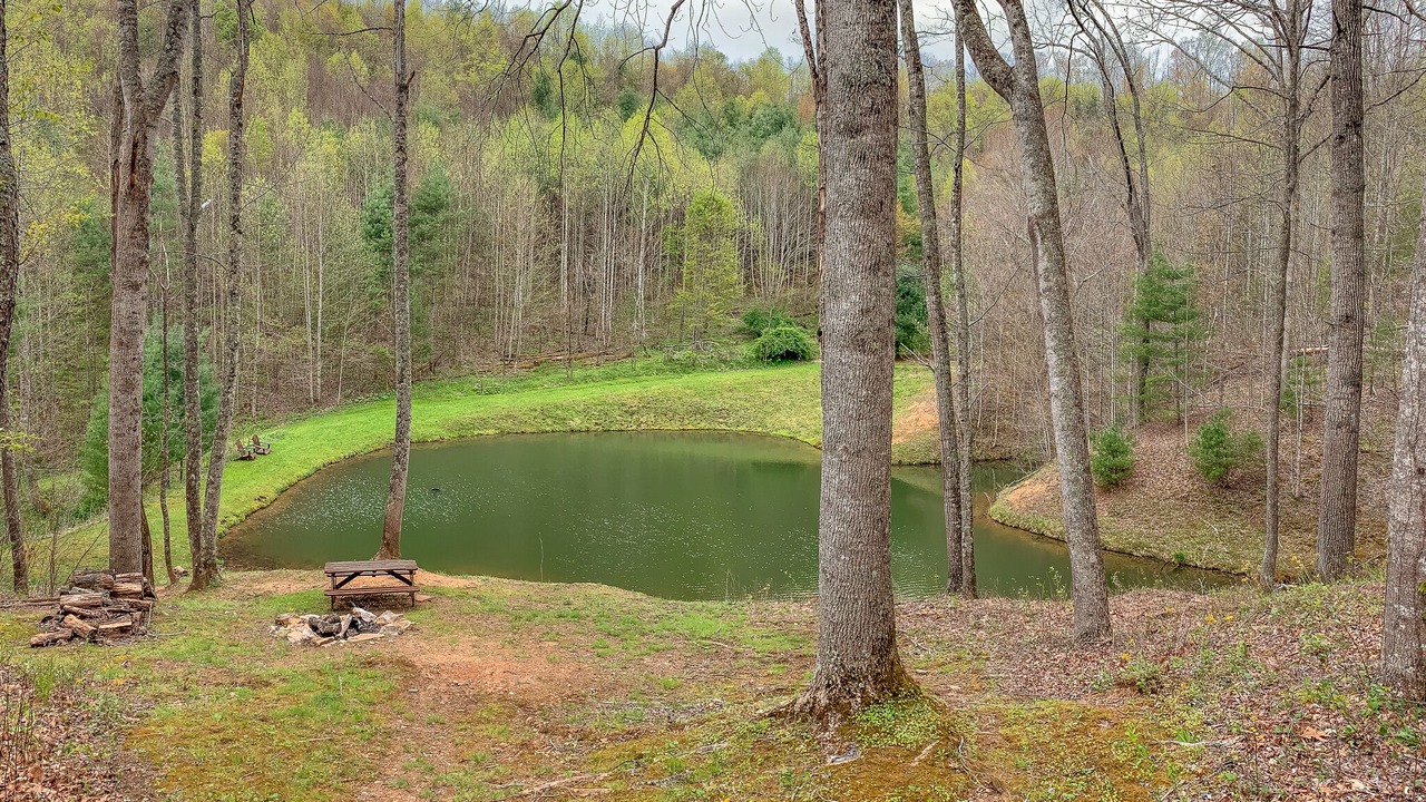 Photo of Outdoor in Grassy Creek
