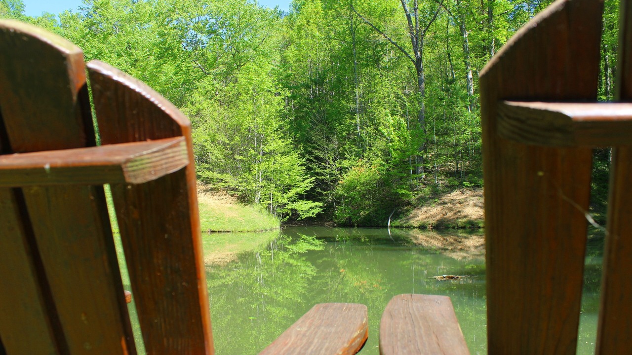 Photo of Others in Grassy Creek