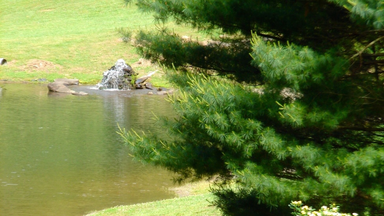 Photo of Outdoor in Robbinsville