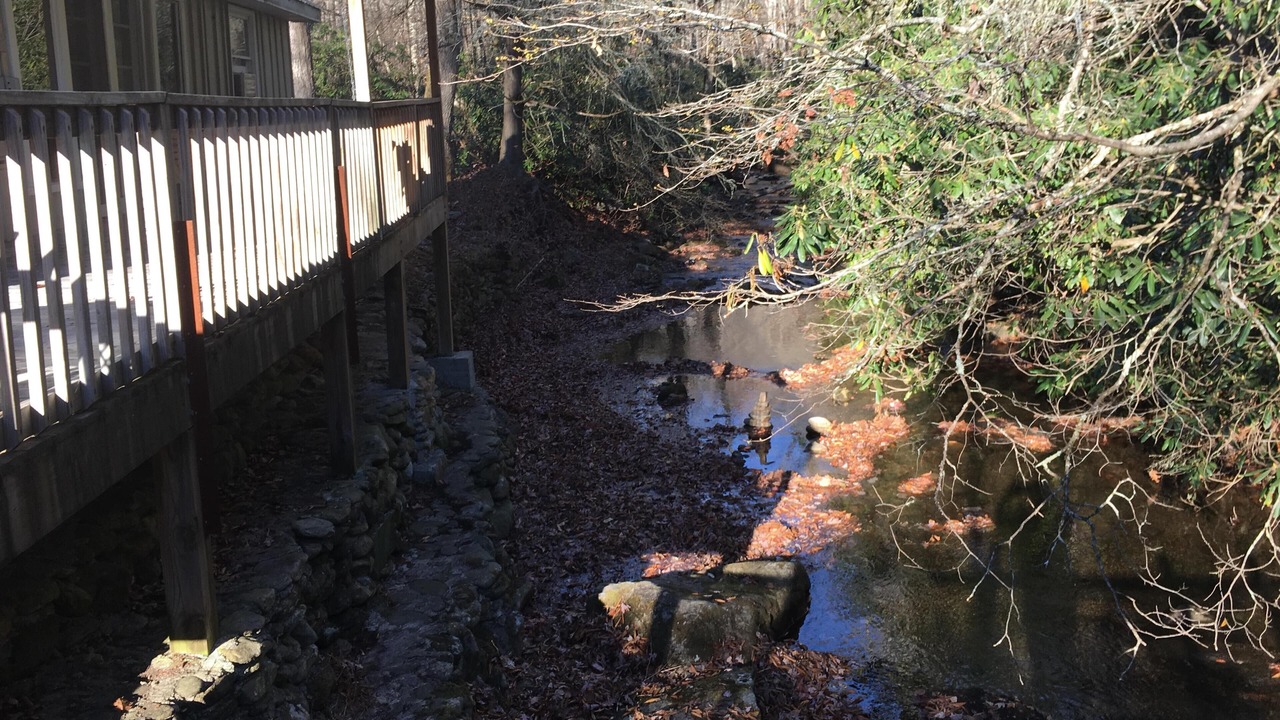 Photo of Others in Candler