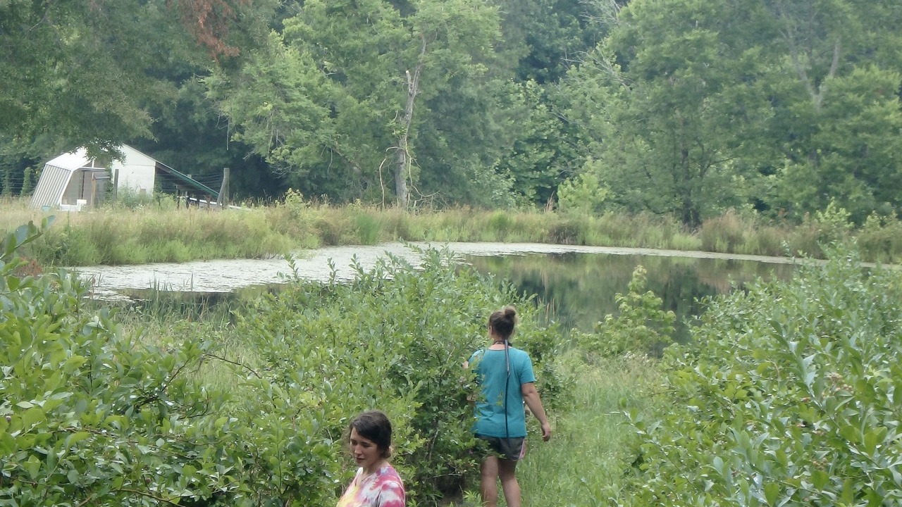 Photo of Others in Chapel Hill