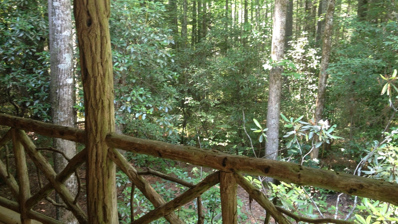 Photo of Outdoor in Cashiers