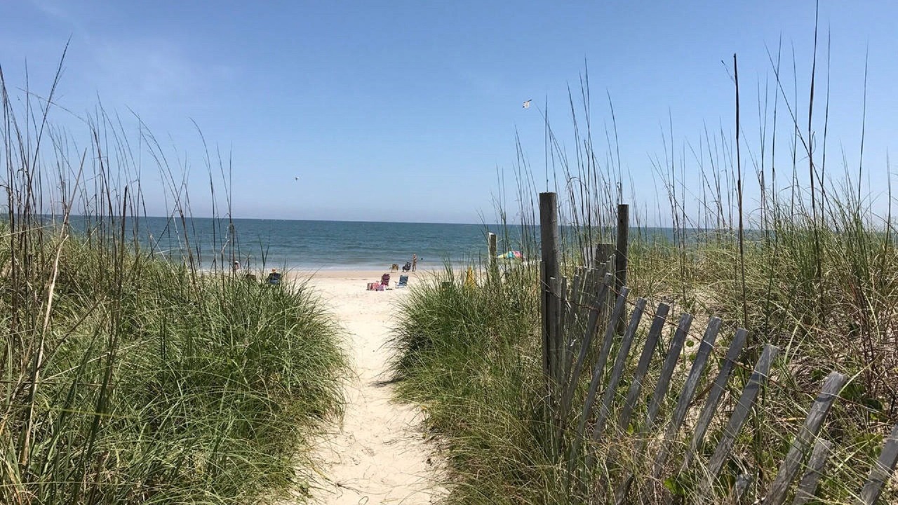 Photo of Others in North Carolina Coast