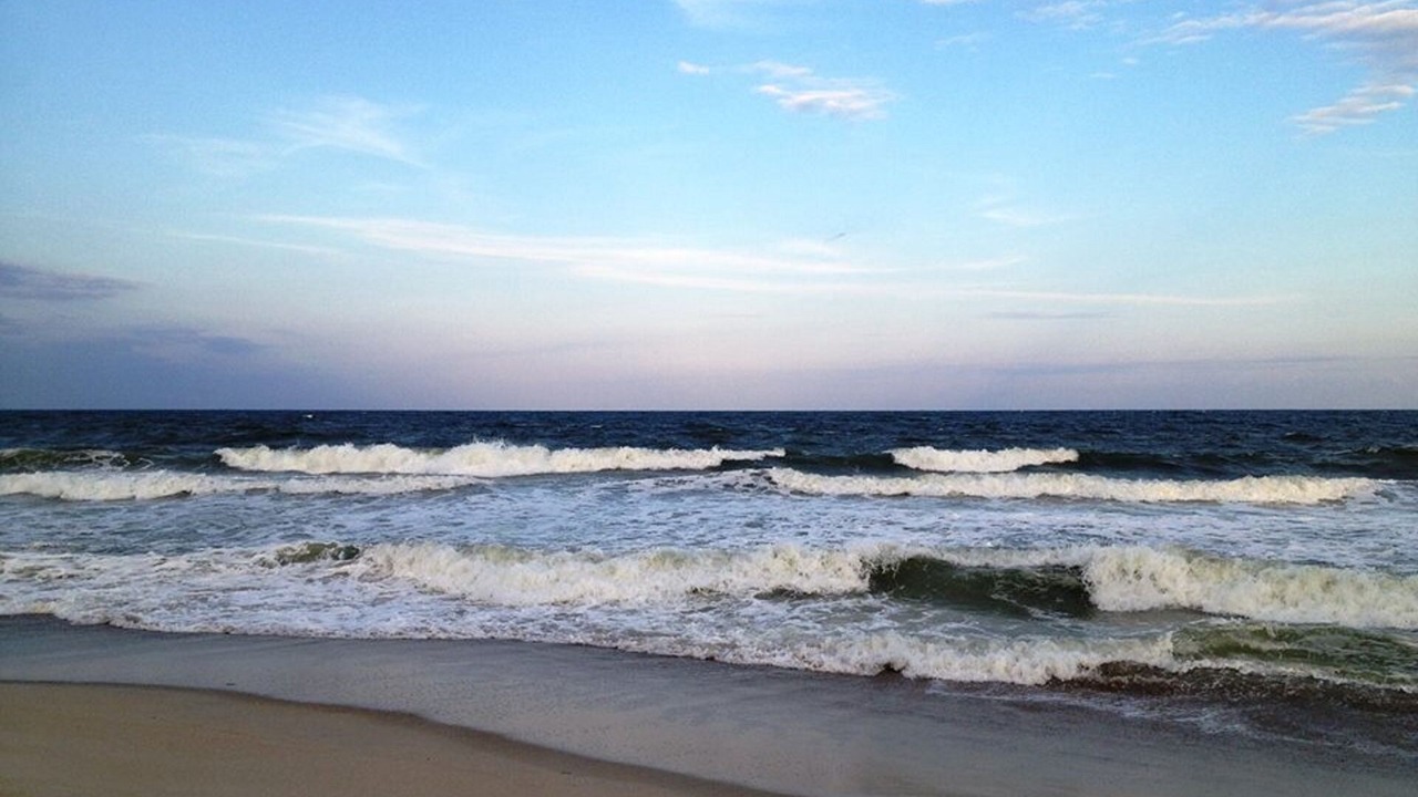 Photo of Others in North Carolina Coast