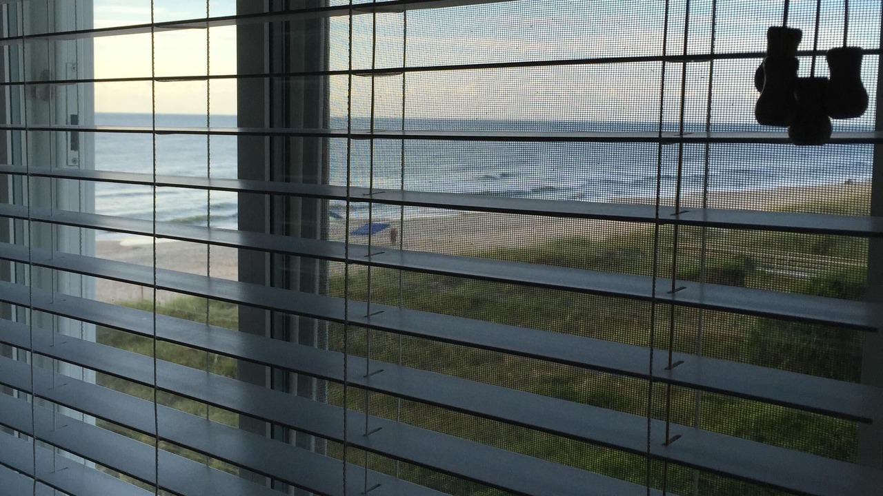 Photo of Others in Carolina Beach