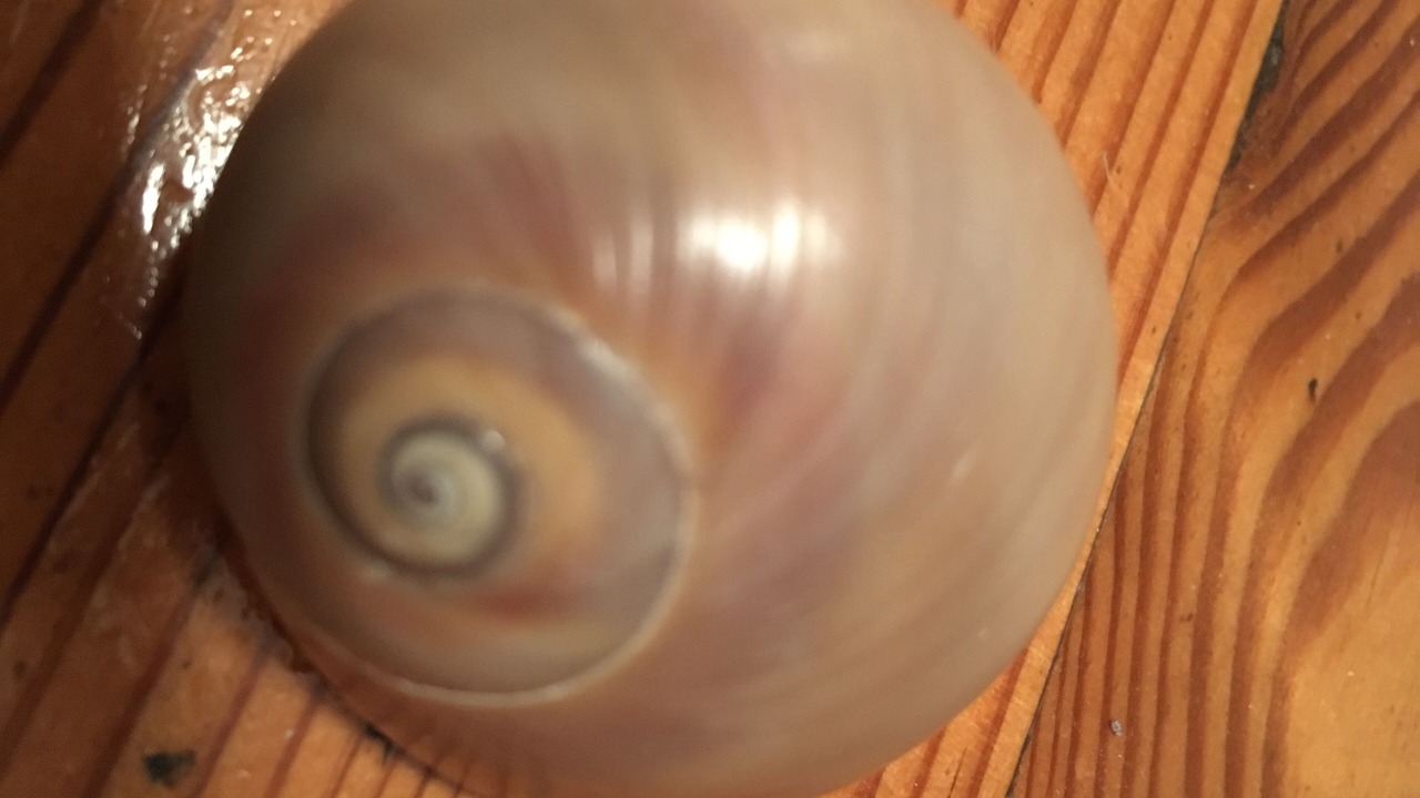 Photo of Others in Holden Beach