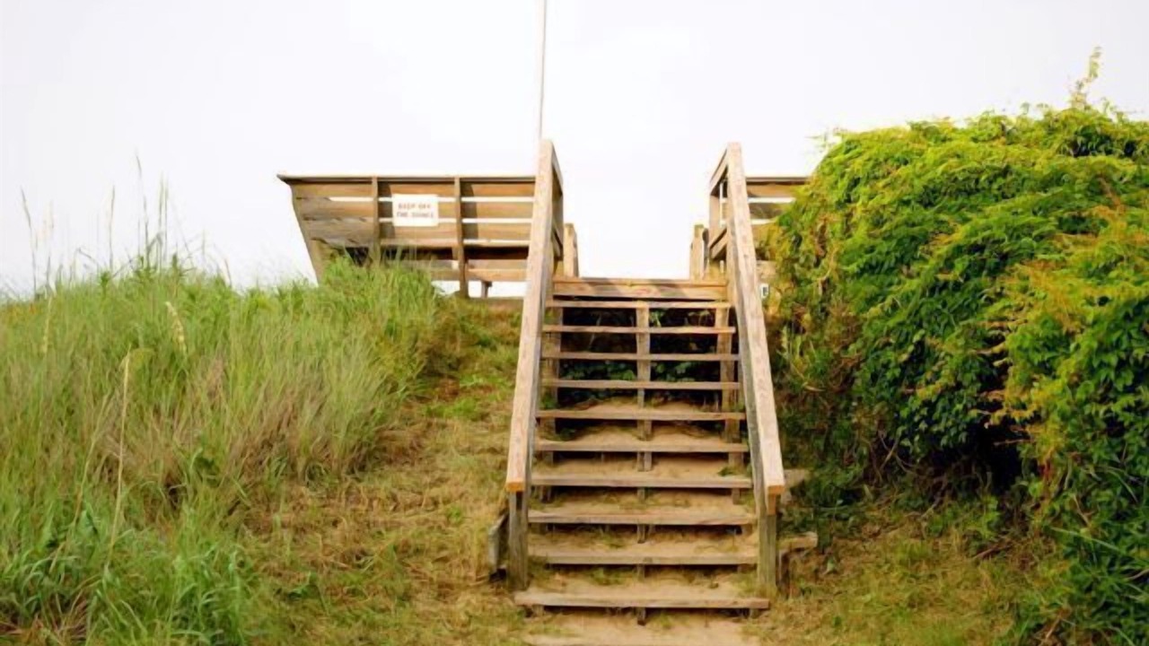 Photo of Others in Southern Shores