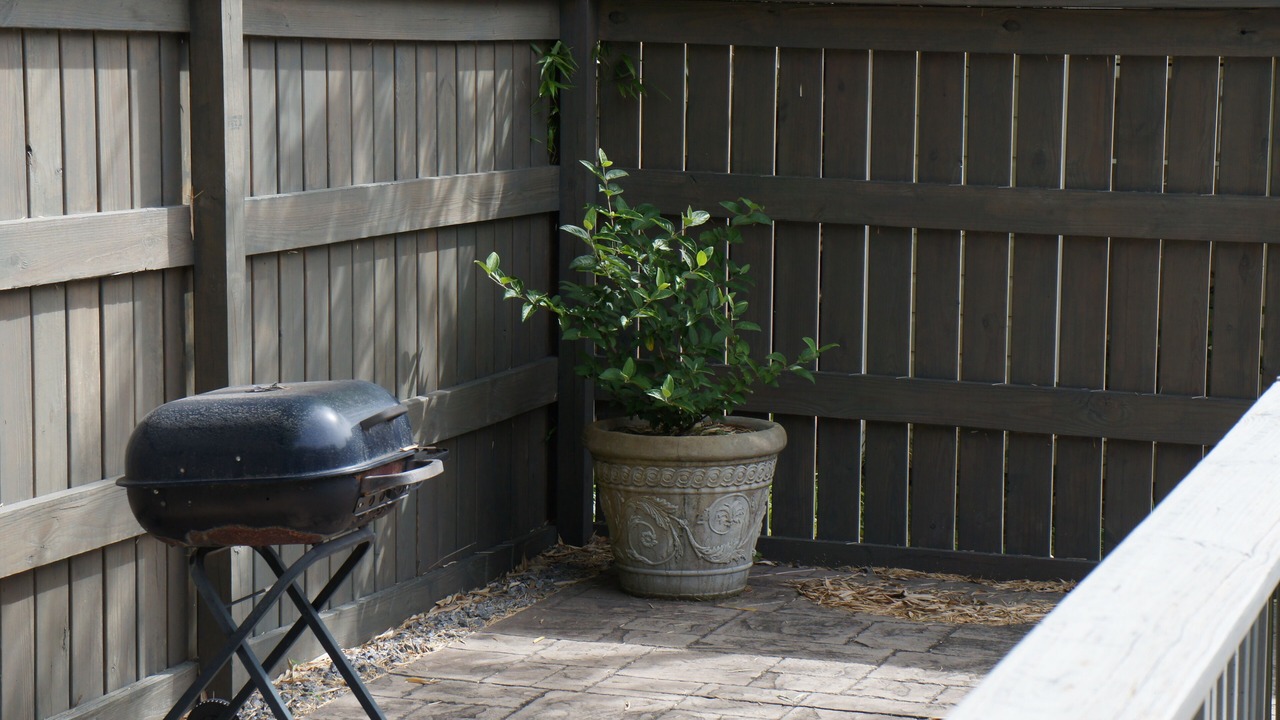 Photo of Outdoor in Brevard