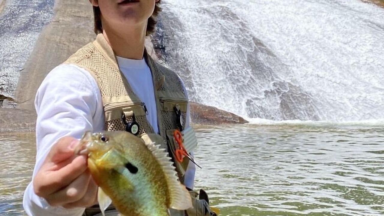 Photo of Others in Lake Toxaway