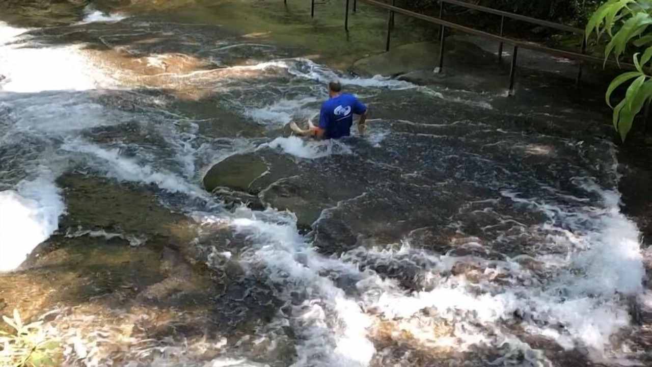 Photo of Others in Lake Toxaway