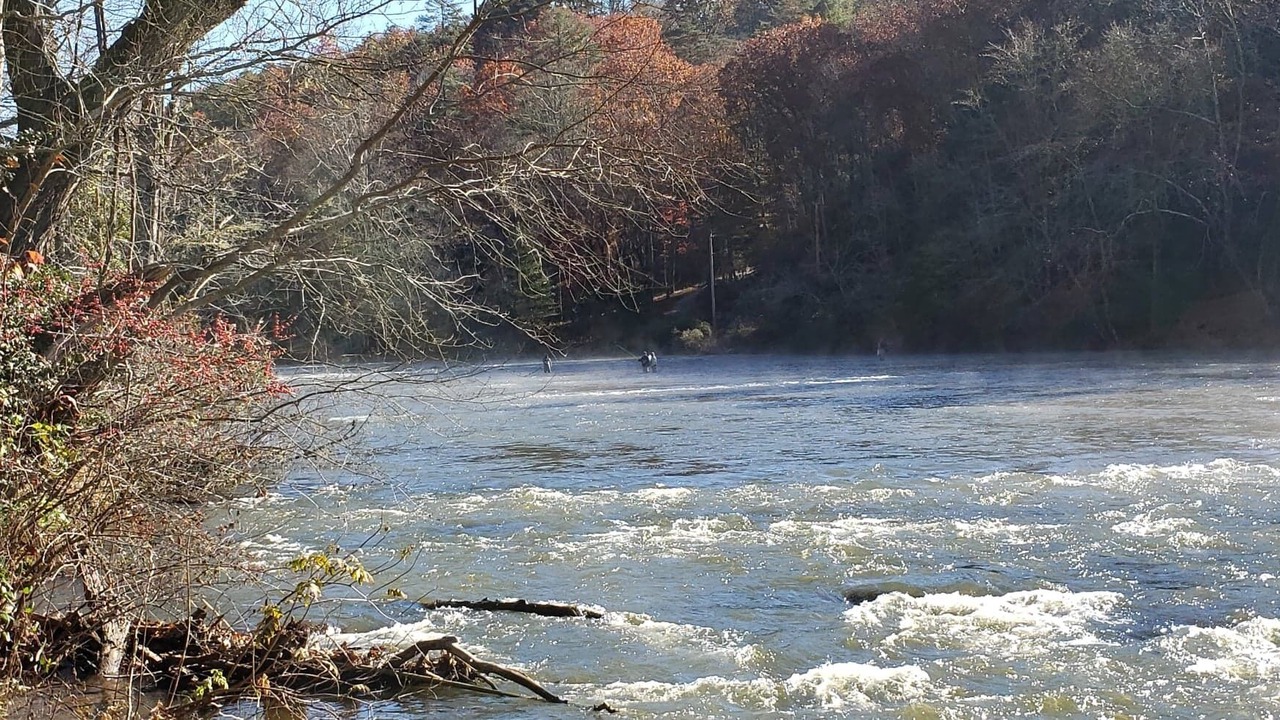 Photo of Others in Sylva