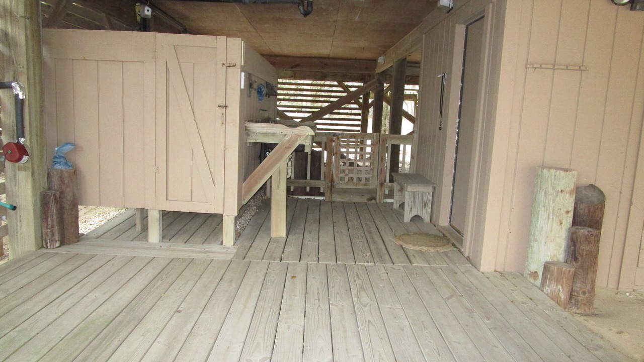 Photo of Others in Southern Shores