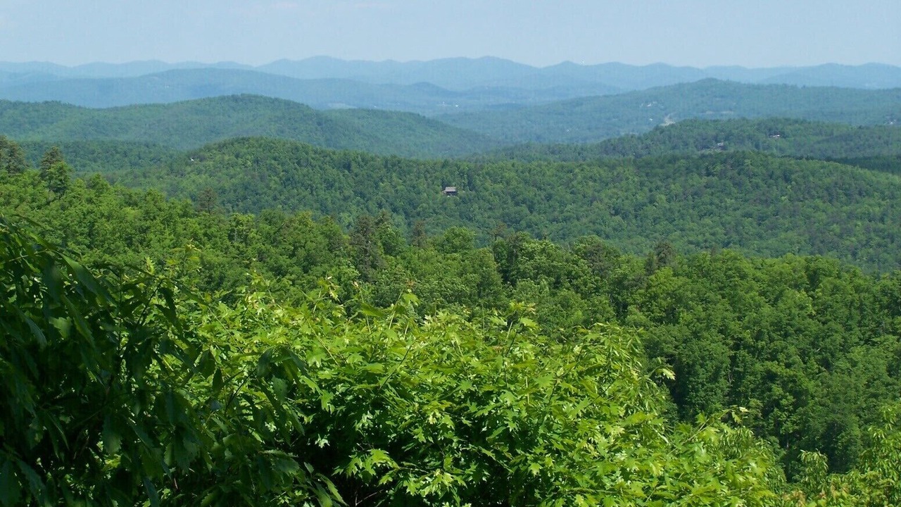 Photo of Others in Hendersonville
