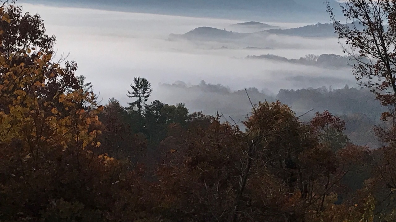 Photo of Outdoor in Franklin