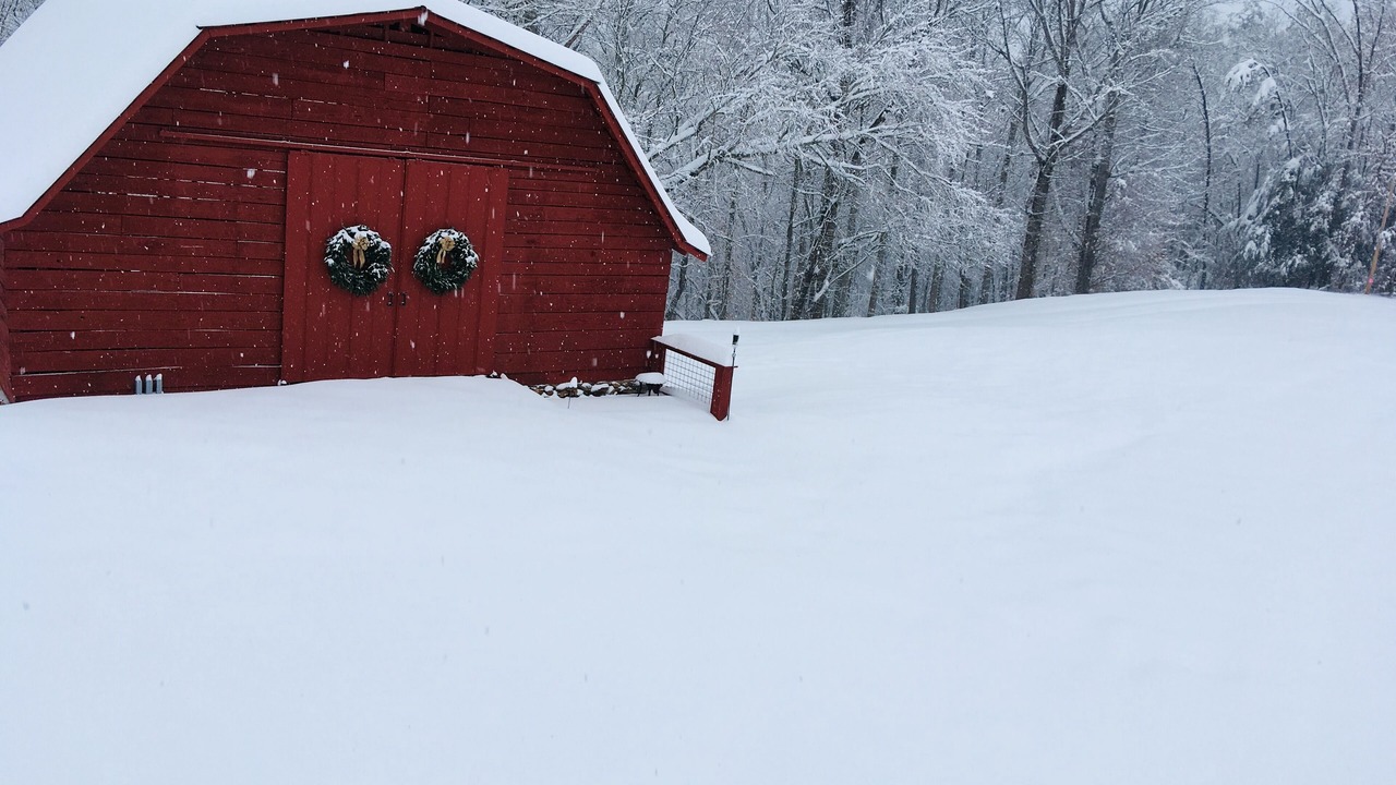 Photo of Others in Candler