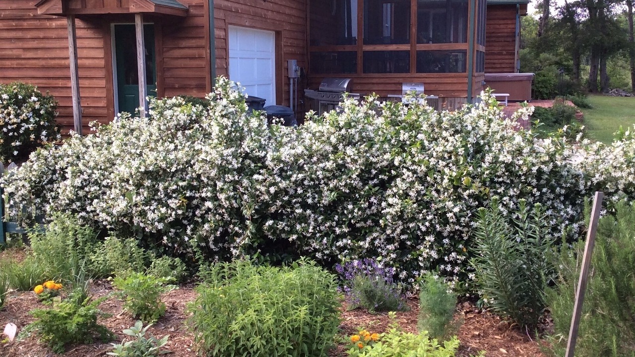 Photo of Outdoor in Harbinger