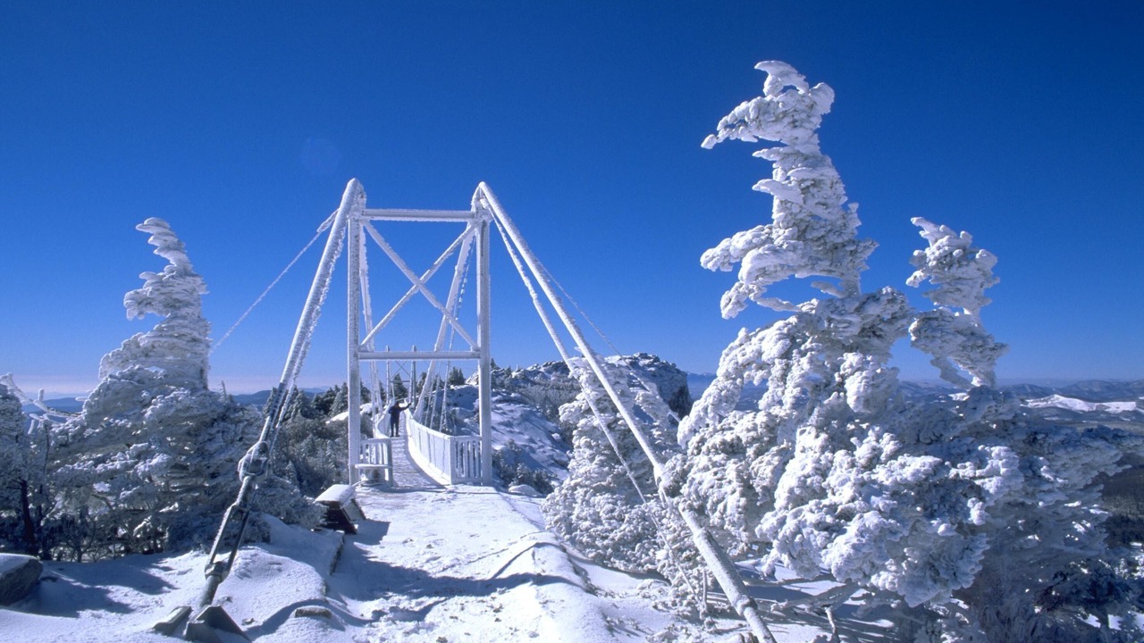 Photo of Others in Boone